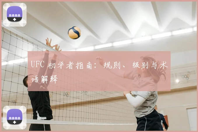 UFC 初学者指南：规则、级别与术语解释