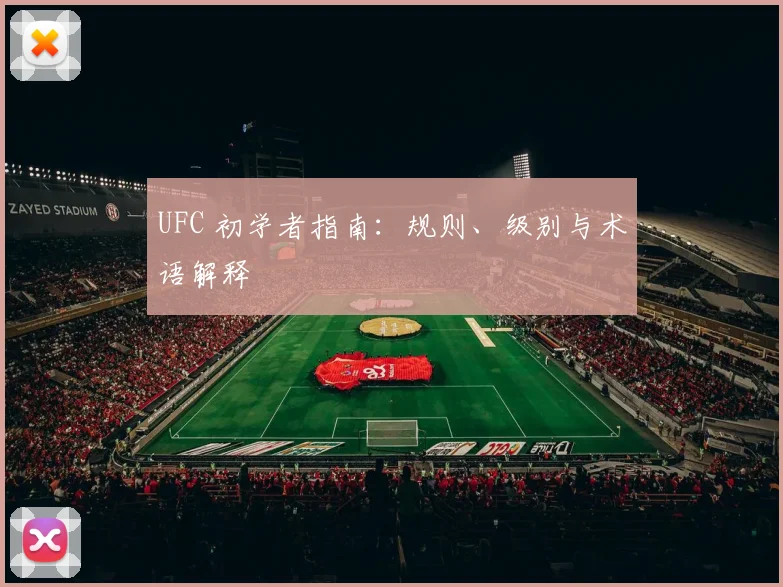 UFC 初学者指南：规则、级别与术语解释